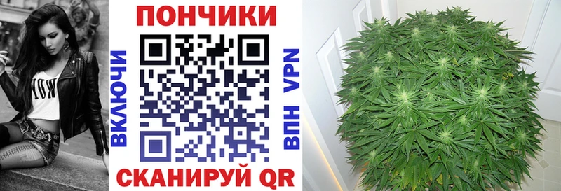 MEGA сайт  Югорск  Каннабис планчик  где найти наркотики 
